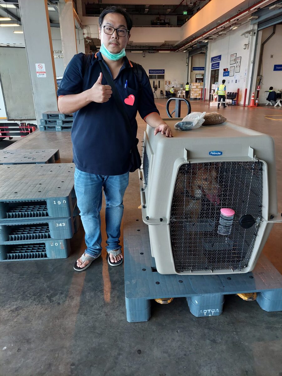Jack — to Dubai